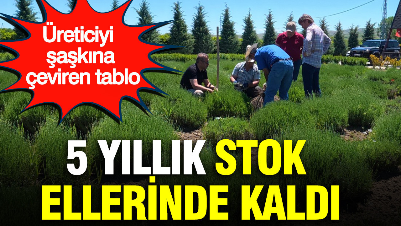 haber-gorseli-1787054691562
